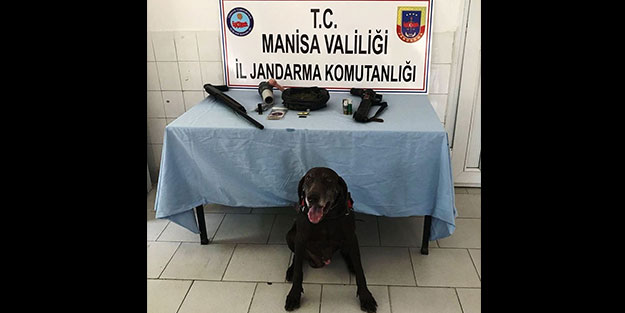 Manisa'da narkotik köpekleriyle baskın! 4 kişi gözaltına alındı