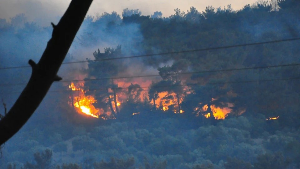 Manisa’da orman yangını: 2 uçak ve 4 helikopterle havadan müdahale sürüyor