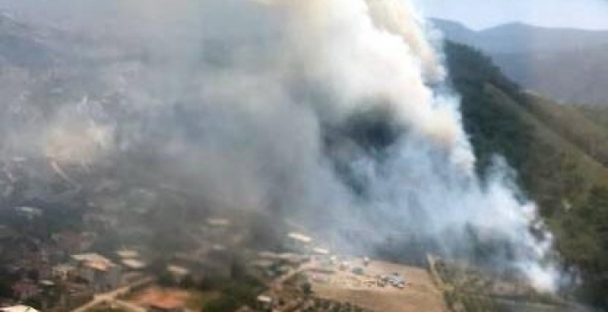Manisa'da orman yangını çıktı