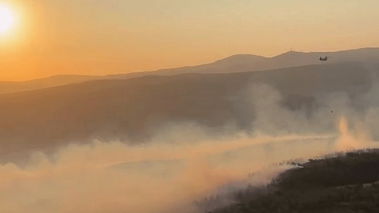Manisa'da orman yangını! Ekipler yangına müdahale ediyor!