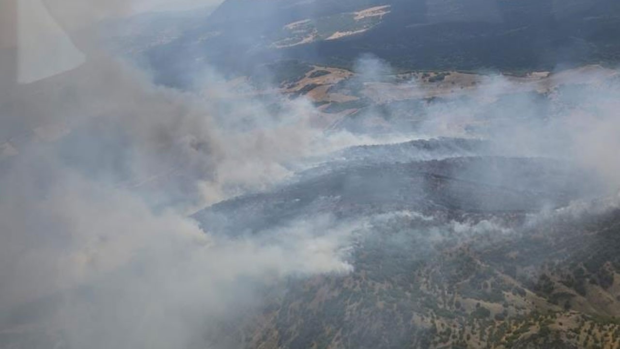 Manisa'da orman yangını: Havadan ve karadan müdahale ediliyor