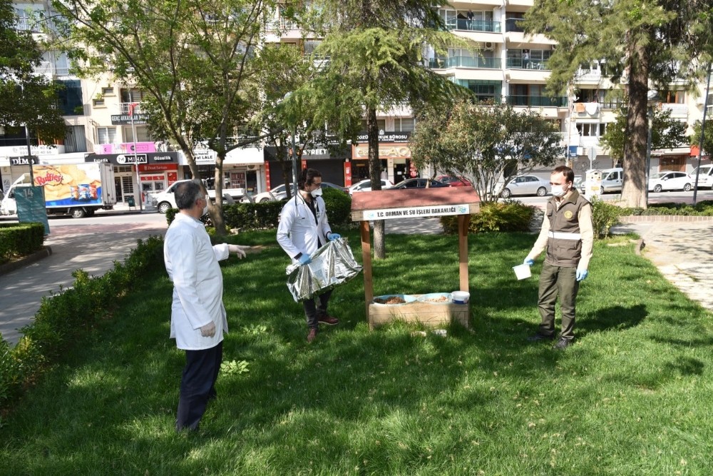Manisa’da sokak hayvanları unutulmadı 