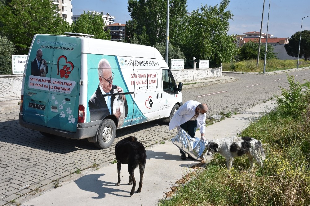 Manisa’da sokak hayvanlarına düzenli mama desteği 