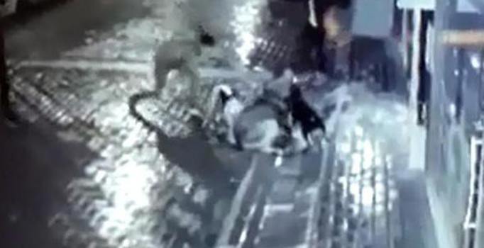 Manisa’da sokak köpeğine işkence