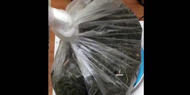 Manisa'da üzerinde esrarla yakalanan sürücü gözaltına alındı