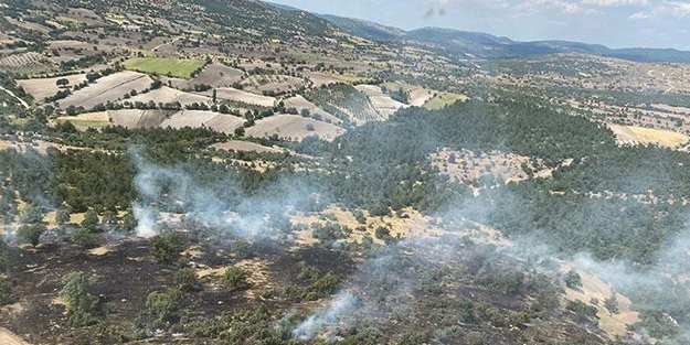 Manisa'daki orman yangını büyümeden söndürüldü