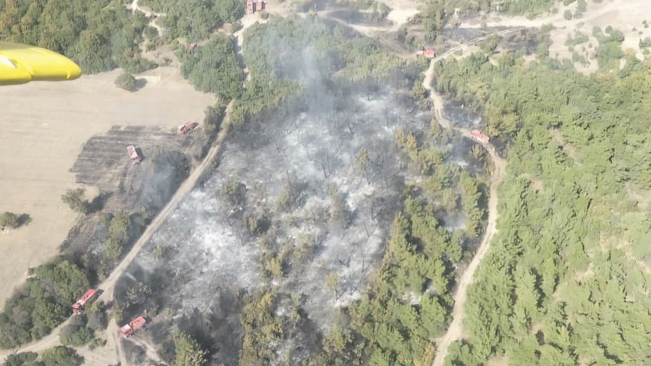 Manisa'daki yangın kontrol altında