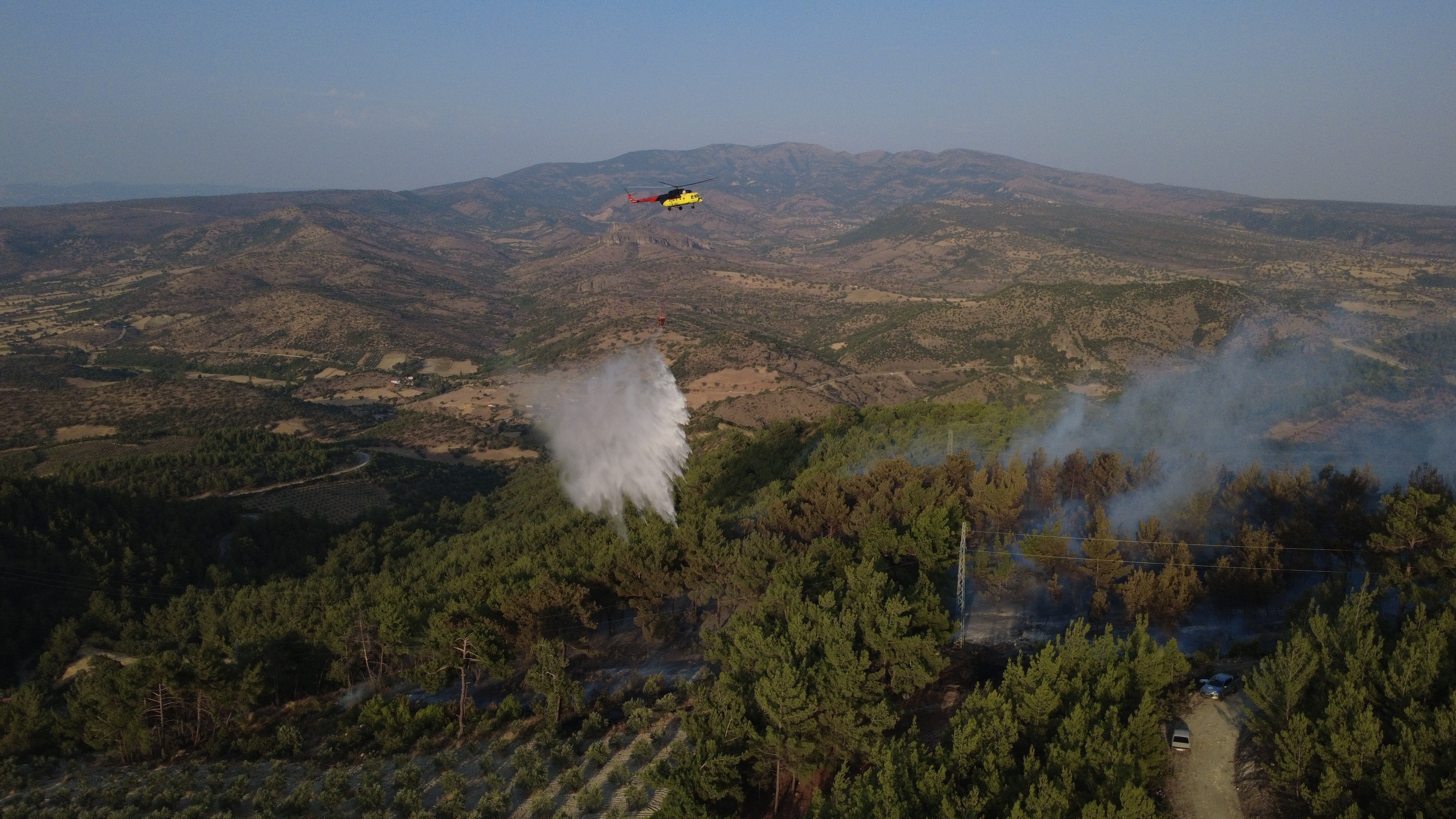 Manisa'daki yangında 5 hektarlık kızılçam ormanı zarar gördü