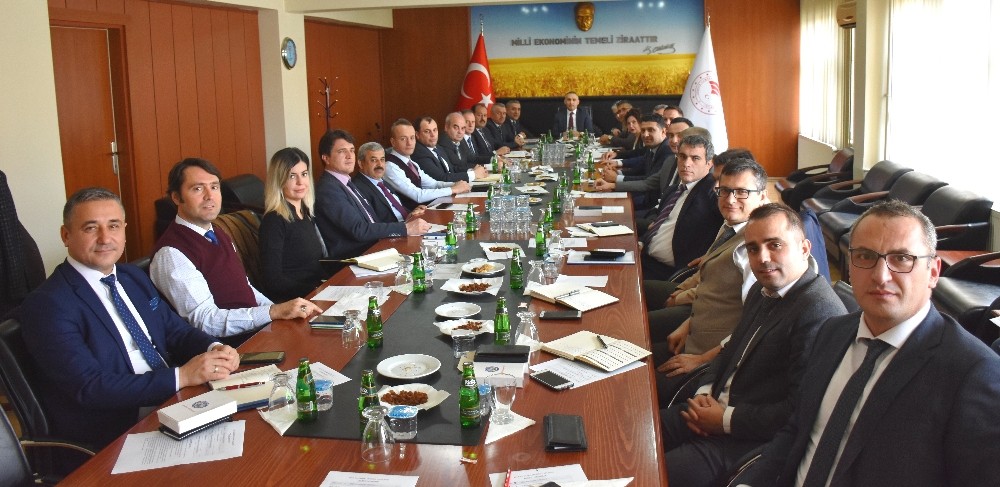Manisa’dan 370 milyon adet sofralık yumurta ihracatı 