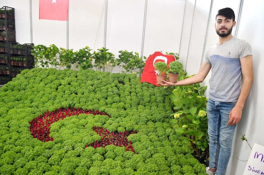 Manisalılar Çiçek Festivaline büyük ilgi gösterdi 