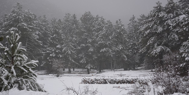Manisa'nın yüksek kesimlerinde kar yağışı