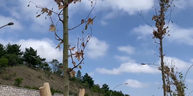 Mansur Yavaş Ankara'yı resmen kuruttu