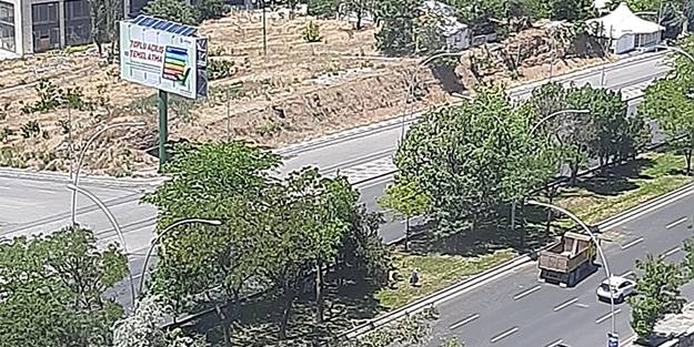 Mansur Yavaş yanlış budamayla ağaçları da kurutacak