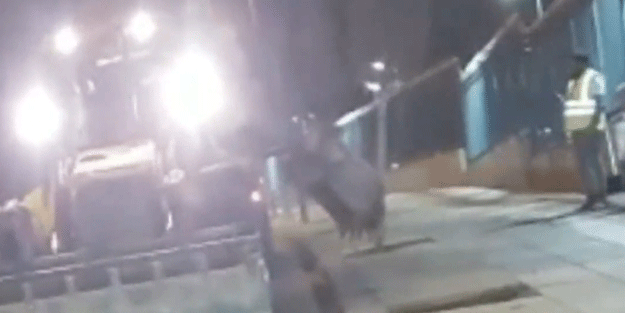 Mansur Yavaş'tan gece talanı!