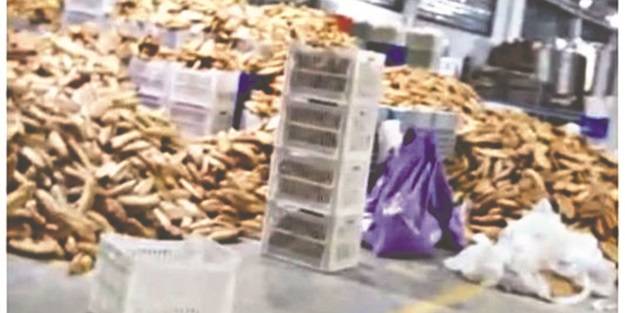 Mansur’un ekmeğe saygısı yok