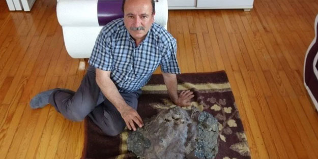 Mantar toplamaya çıkınca servet buldu