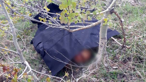 Mantar toplamaya gidenler buldu, ne olduğunu anlayınca dehşete düştüler!