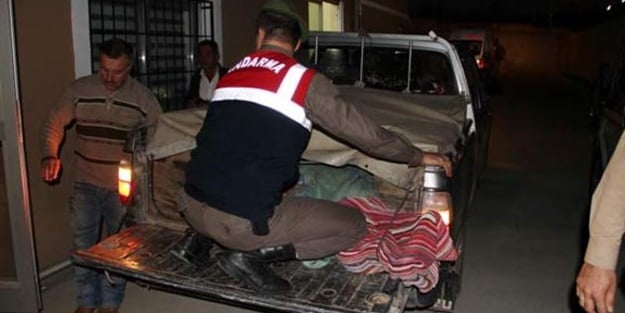 Mantar toplamaya gitmişti... Feci halde bulundu