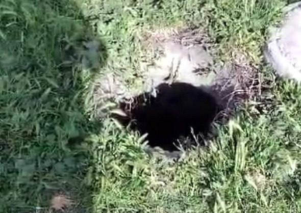 Mantar toplamaya gittiler gördüklerine inanamadılar