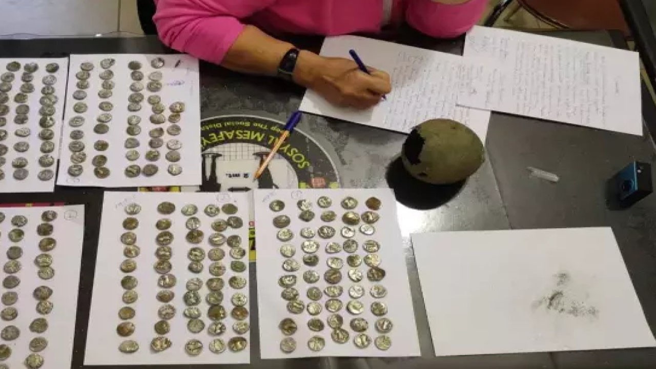 Mantar toplarken 20 ayrı devlete ait sikke buldu! O kişi öyle bir istekte bulundu ki