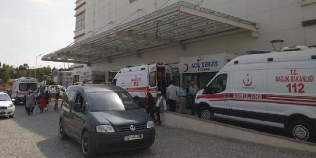 Mantar toplarken ayı saldıran köylü yaralandı