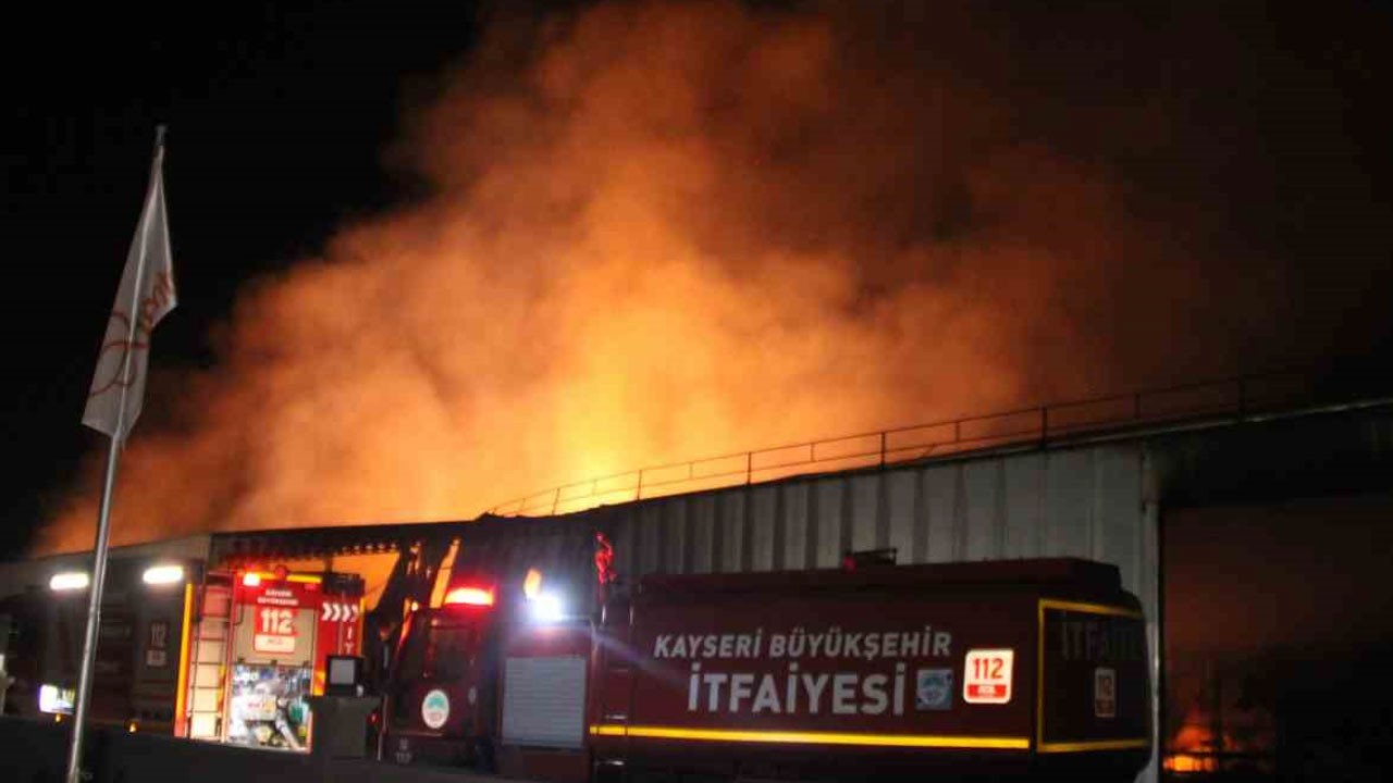 Mantar üretim tesisi alevlere teslim oldu