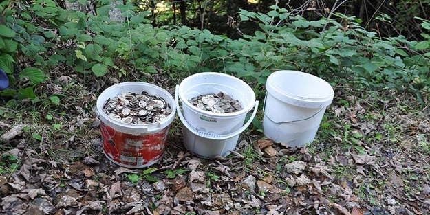 Mantar yerine para topladılar ama...