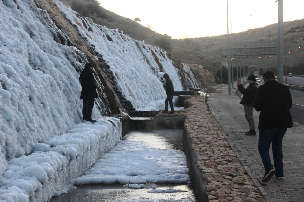 Manzarayı gören fotoğraf çekmek için koştu 