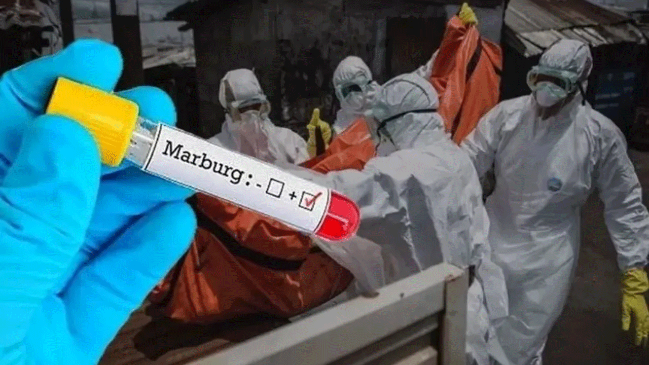 Marburg virüsü paniği! Bir haftada vaka sayısı rekor kırdı