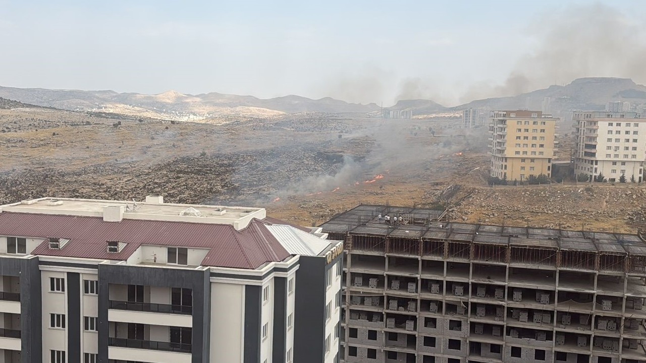 Mardin Artuklu’da otluk alanda yangın