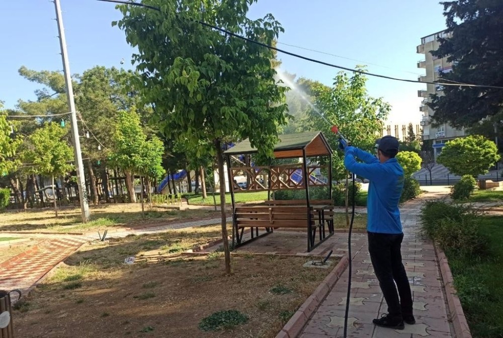 Mardin Büyükşehir Belediyesinden haşereye karşı mücadele 
