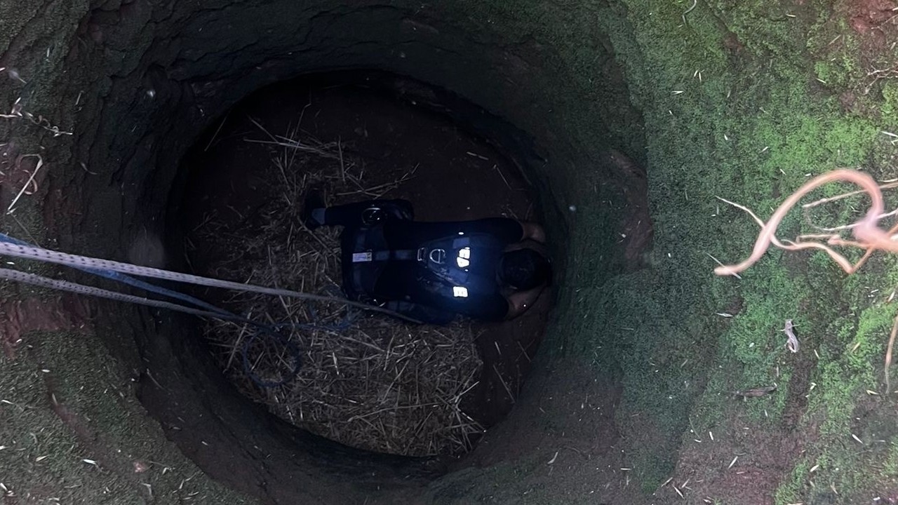 Mardin Kızıltepe'de kuyuya düşen koyun itfaiye tarafından kurtarıldı
