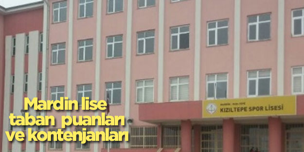 Mardin liseleri taban puanları ve yüzdelik dilimleri 2018 2019 MEB e okul