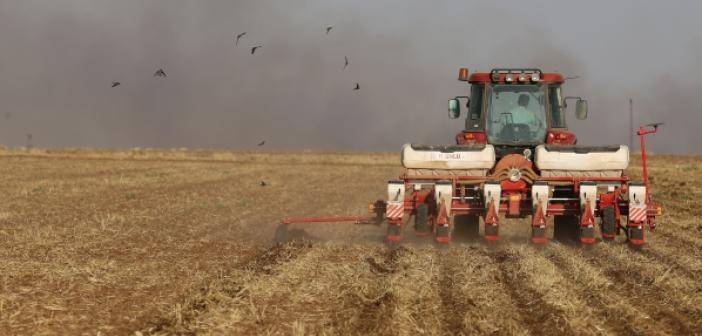 Mardin Ovası’nda çiftçiler soya fasulyesine yöneldi