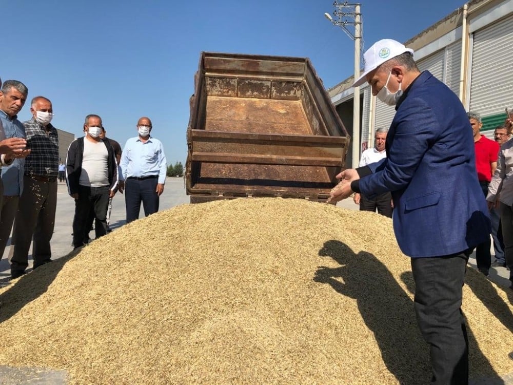 Mardin’de Dünya Çiftçiler Gününde sezonun ilk arpa hasadı yapıldı 