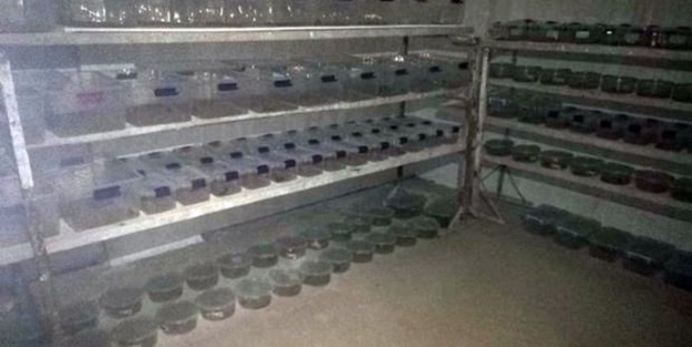 Mardin'de ele geçirildi! Litresi tam 10 milyon dolar