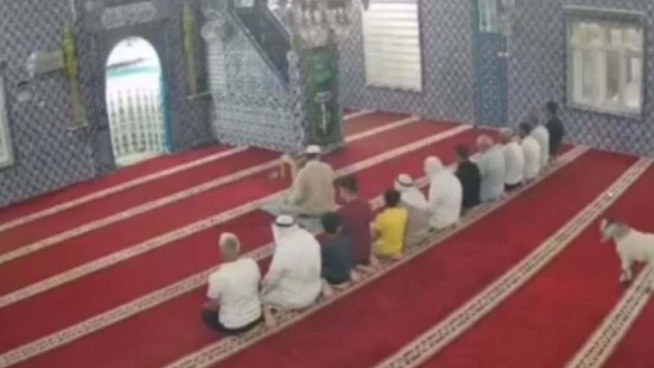 Mardin’de ilginç anlar! Namaz sırasında camiye girdi
