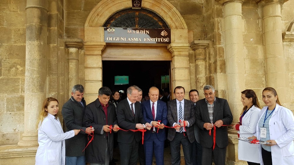 Mardin’de karma resim sergisi açıldı 