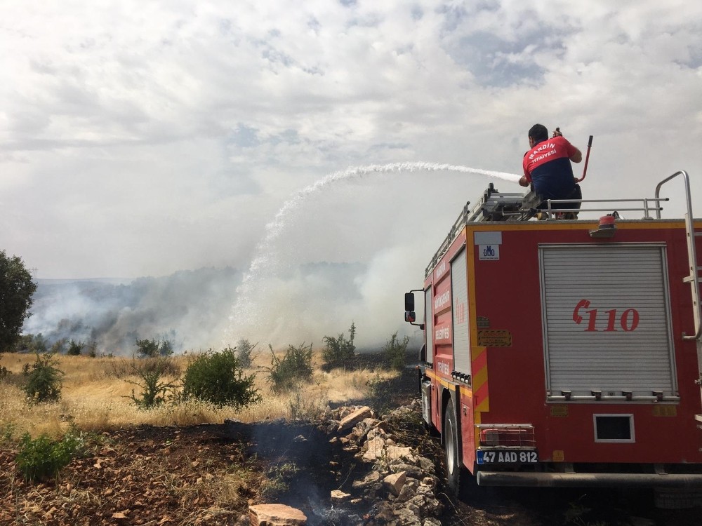 Mardin’de ormanlık alanda yangın 