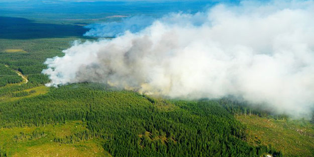 Mardin’de örtü yangını