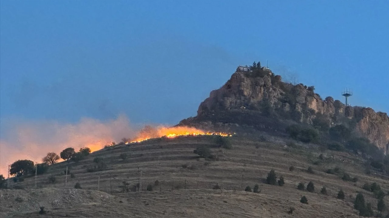 Mardin'de tarihi kale eteklerinde yangın!