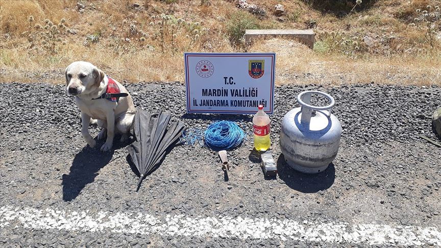 Mardin'de teröristlerce tuzaklanan 12 kilogram el yapımı patlayıcı imha edildi