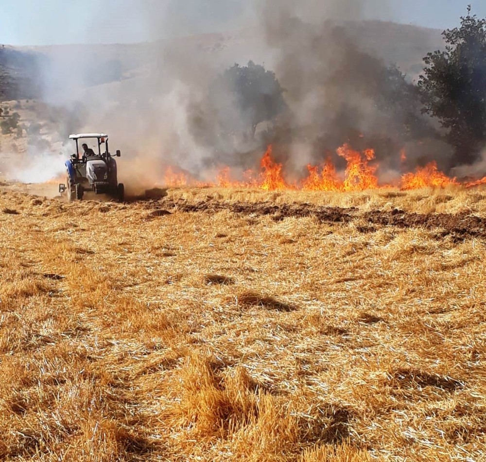 Mardin’deki yangın itfaiye ve vatandaşın çabasıyla söndürüldü 