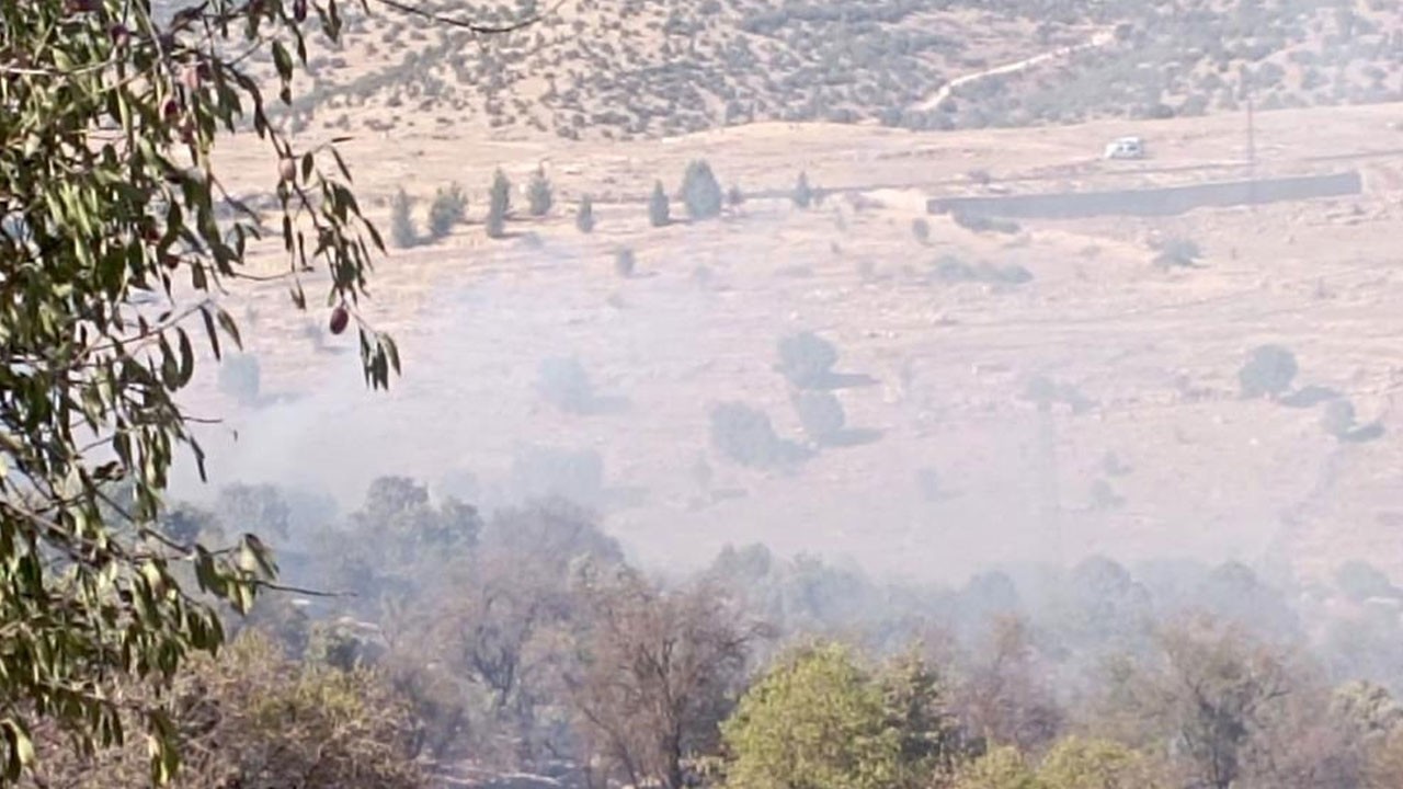 Mardin'den iyi haber geldi