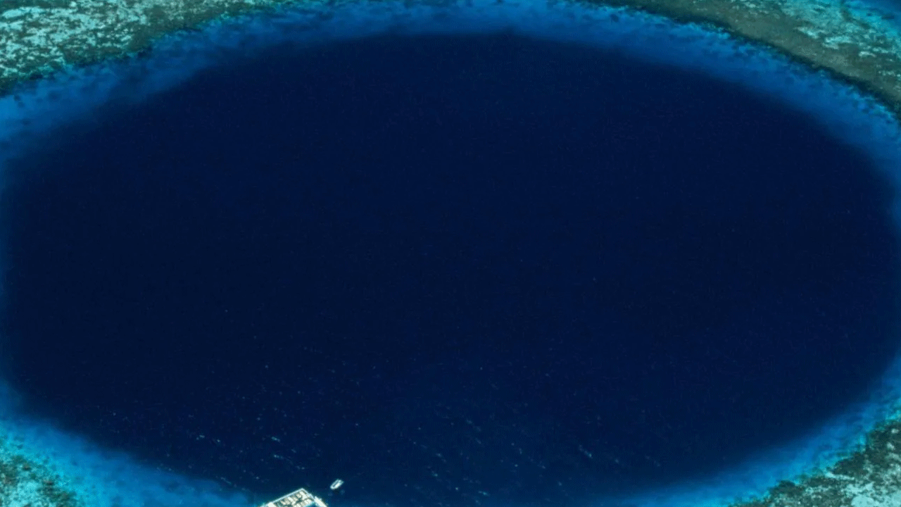 Mariana Çukuru’ndan gelen gizemli ses! Uzaylı sandılar, gerçek çok başka çıktı