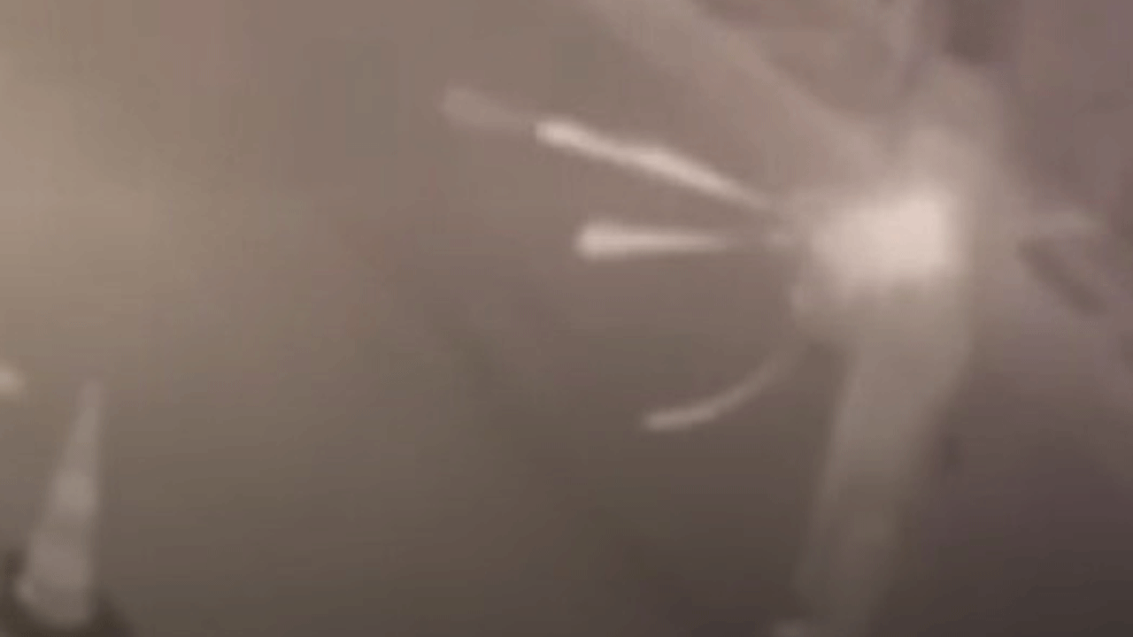 Marifetmiş gibi kameraya çektiler: Artık çocuklar dükkan kurşunluyor!