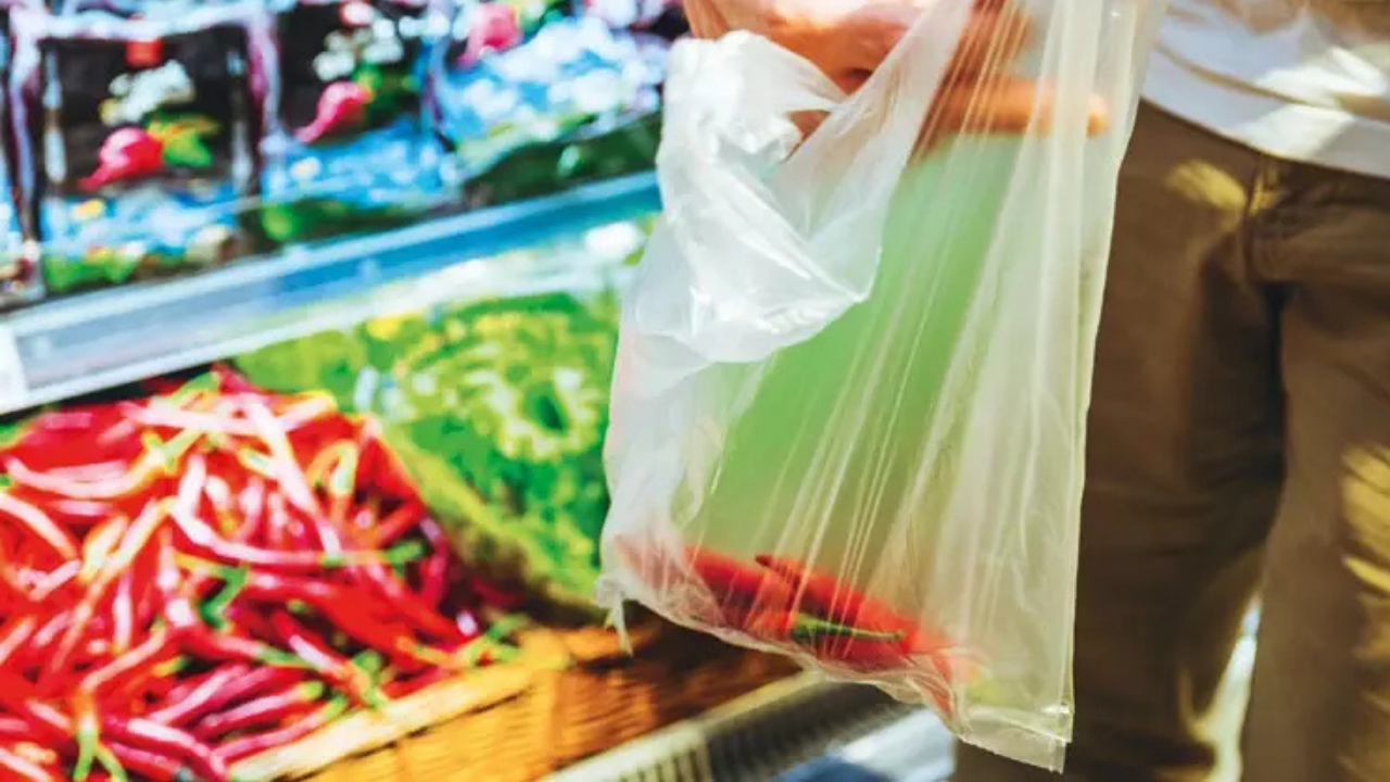 Market poşeti yasaklanıyor: Yerini geri dönüştürülebilir kağıt torbalara bırakacak!