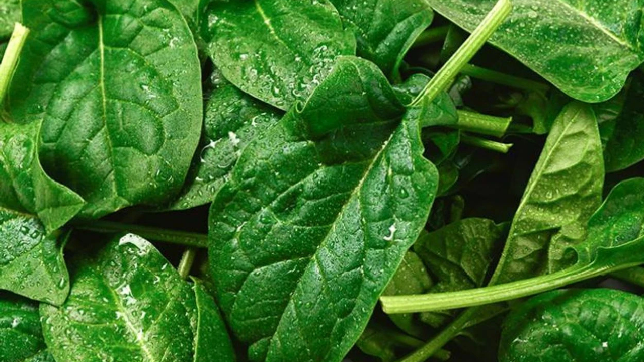 Market raflarındaki dondurulmuş ıspanakta plastik alarmı: Acil toplatma kararı!