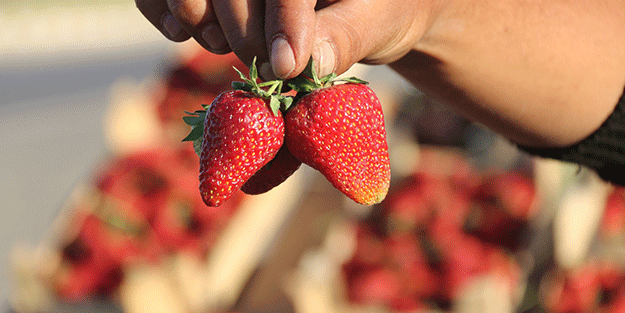 Marketten çıktı şimdi paraya para demiyor