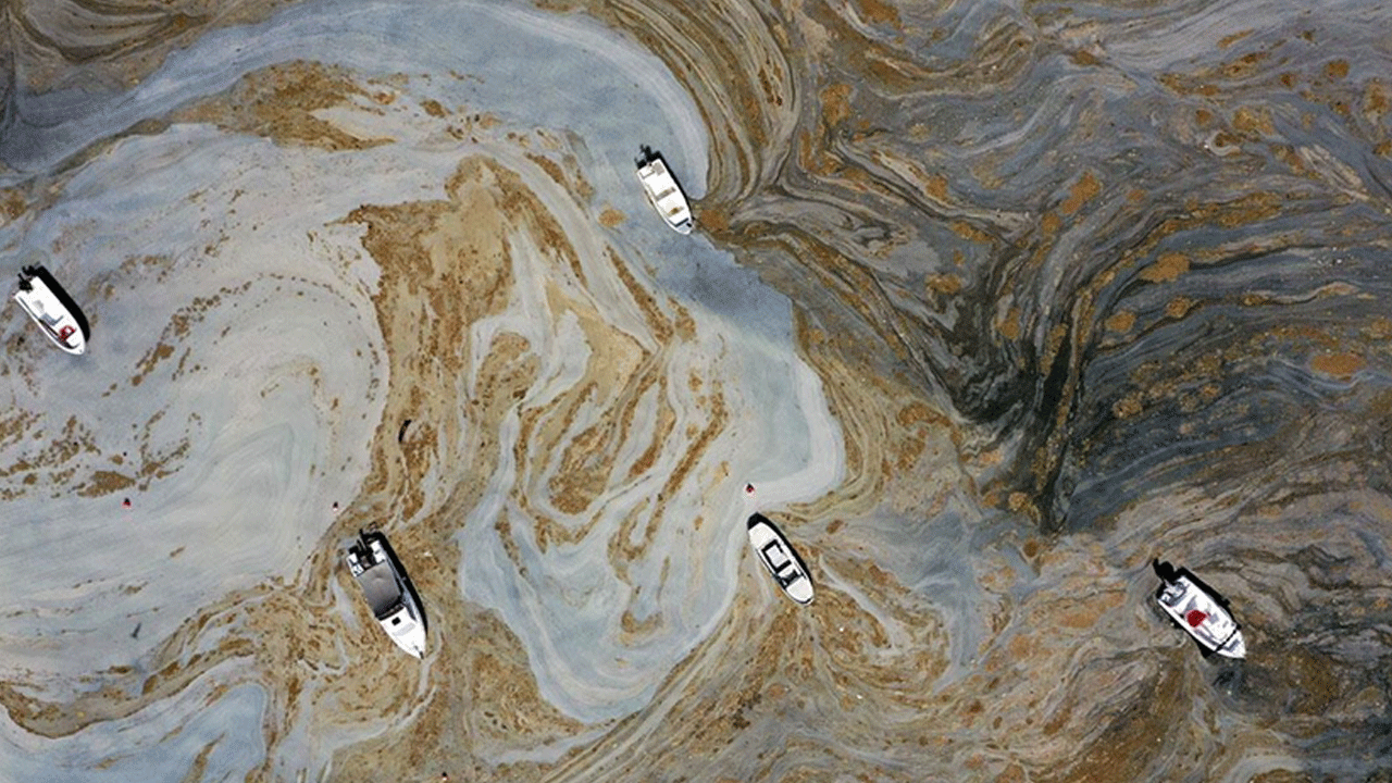 Marmara artık balık değil çamur deryası: Ağlar müsilajla doldu, balık sezonu erkenden kapandı